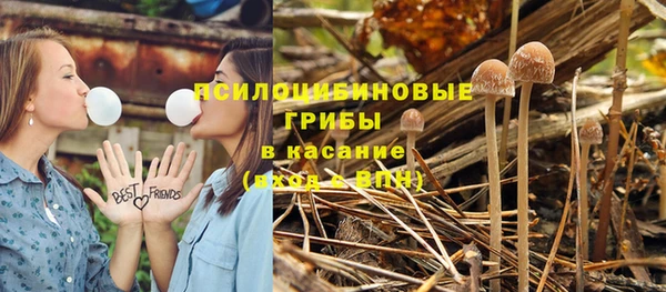 дмт Бутурлиновка