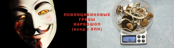 apvp Нефтекумск