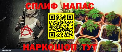 СК Апшеронск