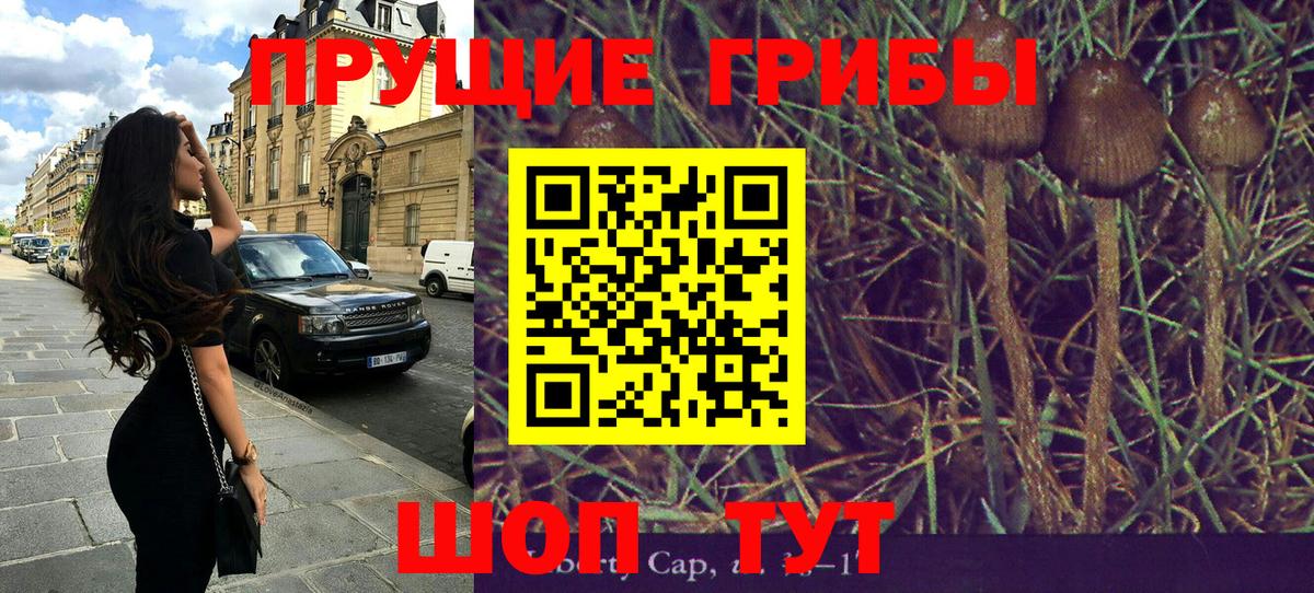 Псилоцибиновые грибы Psilocybe  Березники  Псилоцибиновые грибы мухоморы 
