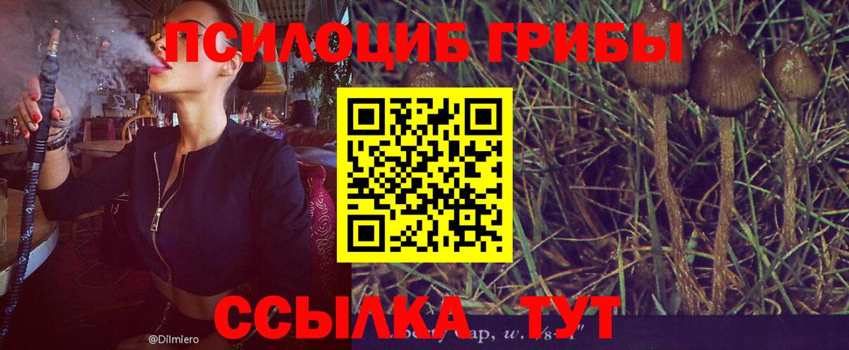 дарнет шоп  Вход с VPN  Березники  Галлюциногенные грибы MAGIC MUSHROOMS 